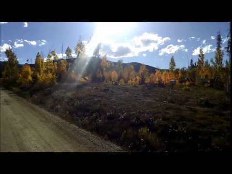 Aspens on road into St. Louis Creek Campground