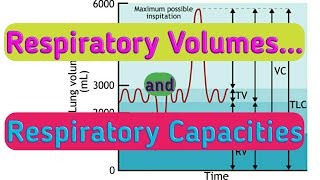 Respiratory Volumes and Capacities, Breathing and Exchange of Gases