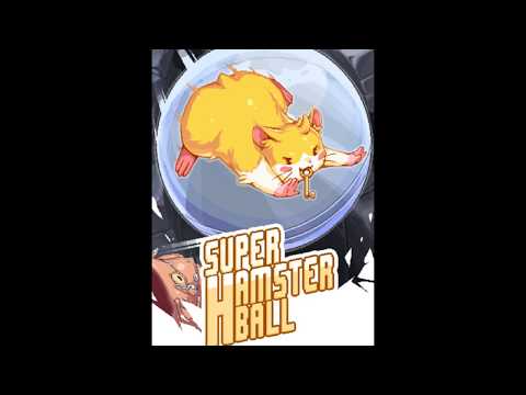Super Hamster Ball Video