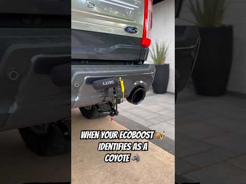 Ever hear a V6 idle this deep? AWE 3” OFG Exhaust #f150 #ecoboost