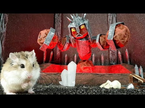 MAJOR HAMSTER vs CAT dr. MAX 2: Volcano TREASURE HUNT