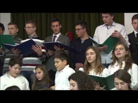 Spune da Tineret AZS Roma