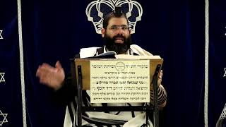 דף היומי עבודה זרה דף ט"ו ע"ב ¤ הרב נתנאל אברז'ל ¤ בית הכנסת "בית מרדכי" (הערוץ של מוסדות תורת דוד) - התמונה מוצגת ישירות מתוך אתר האינטרנט יוטיוב. זכויות היוצרים בתמונה שייכות ליוצרה. קישור קרדיט למקור התוכן נמצא בתוך דף הסרטון