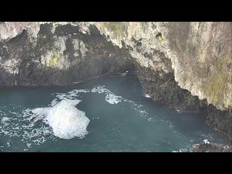 Anacapa Island Cove - Channel Islands National Park 12-19-2018 00:27:01 - 01:22:12