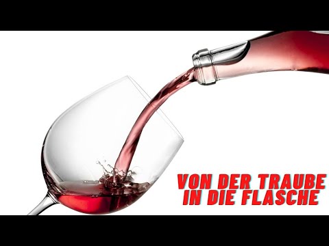 Wein selber machen von der Beere in die Flasche Teil 1 Weinlese und Entrappen