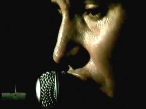 The Sunnyboys : Trouble In My Brain (live 1981)