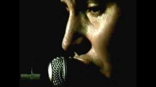 The Sunnyboys : Trouble In My Brain (live 1981)
