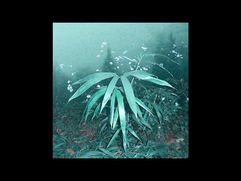 Video thumbnail for 크로커스 (Crocus)