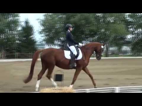 Maria & Despina Dressurwettbewerb Kl. E Bodelshausen 20.09.15