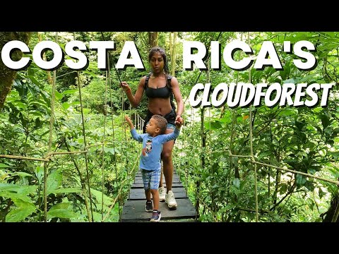 Better than La Fortuna?  Monteverde - Essential Costa Rica Travel Guide