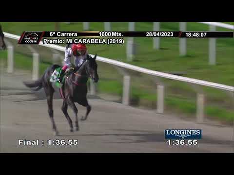 230428 c06 SUPERB (BRZ)