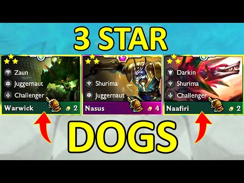 3 Star DOGS ⭐⭐⭐