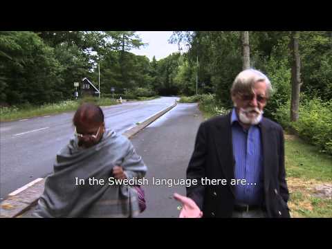 Displaced Perssons (Teaser)