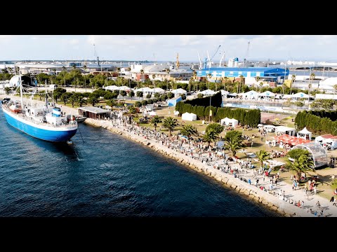 Festival do Bacalhau 2022 - Município de Ílhavo