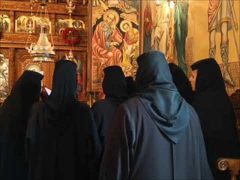 20190421 NICOLAE BALASOIU – INTRAREA DOMNULUI IN IERUSALIM   DUMINICA 6 DIN POST – A FLORIILOR