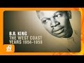 B.B. King - Did You Ever Love a Woman