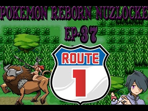Pokemon Reborn Ep-37: Nullifying Noel and Training Tauros