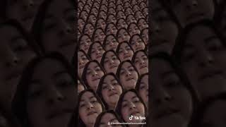 The bells of Notre Dame