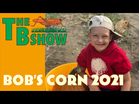 The B Show Bob's Corn 2021