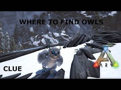 Ark Survival Evolved Where to find an Owl - Short and Easy answer