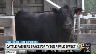 Local cattle farmers brace for Tyson closures’ ripple effect