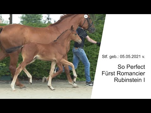 Stf v So Perfect x Fuerst Romancier x Rubinstein I 2021