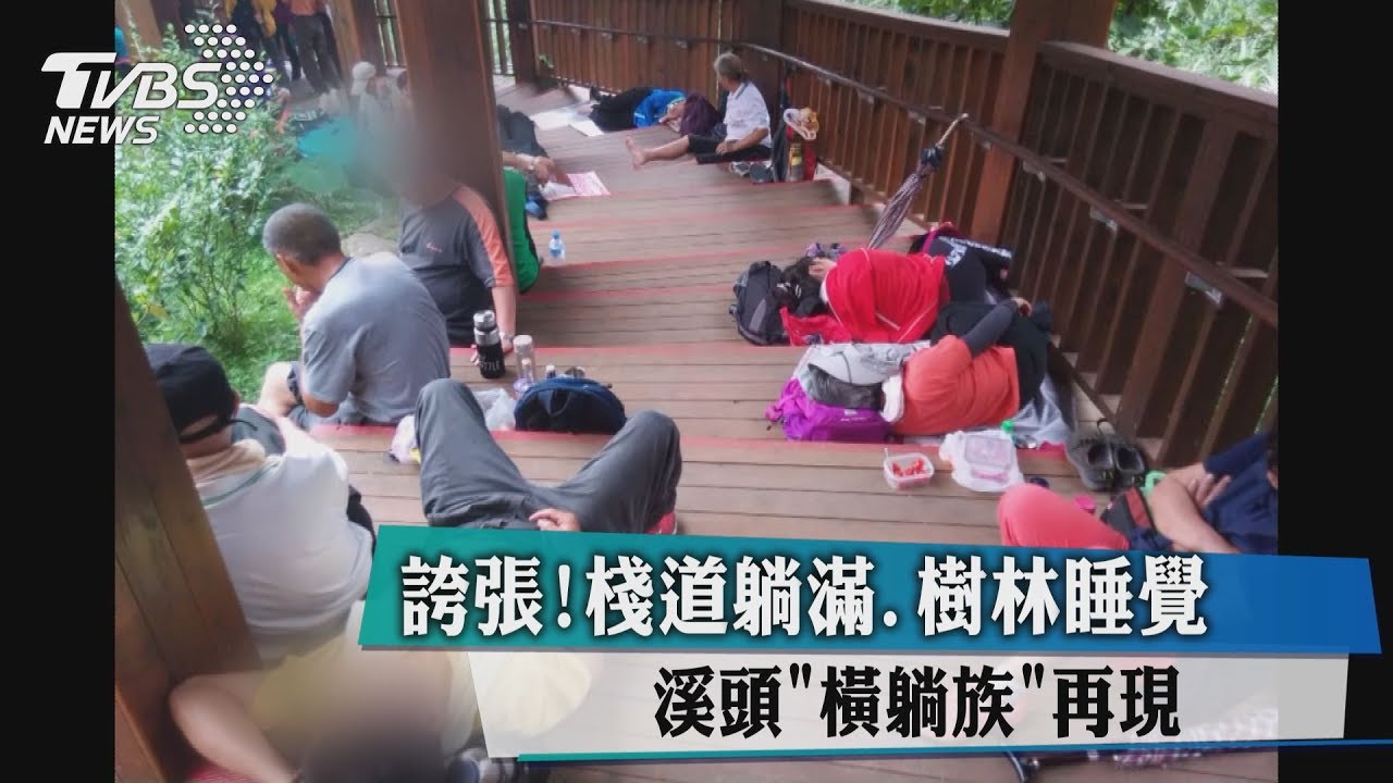 誇張!棧道躺滿、樹林睡覺 溪頭橫躺族再現