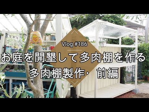 多肉植物-屋外-庭-ミニチュア-多肉植物-アロエ