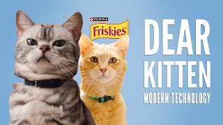 Dear Kitten: Modern Technology // Presented by Friskies & BuzzFeed