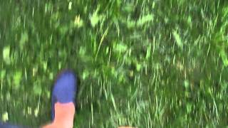 Despedida de la piscina 2012