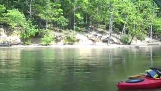 preview picture of video 'Mother's Day Kayaking  Lake Wylie'