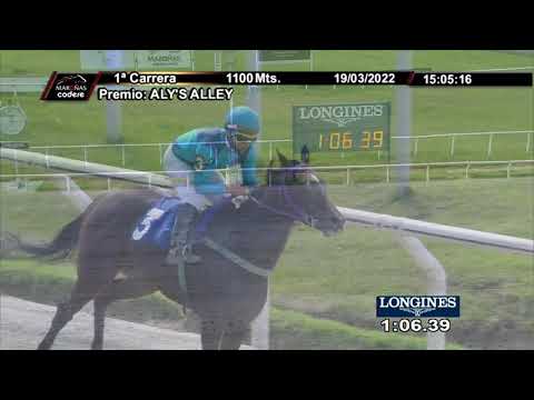 220319 c01 JAPIRA (BRZ)