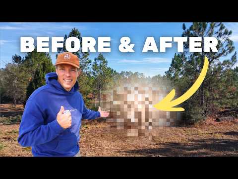 We Bought This Abandoned Homestead Just For This View