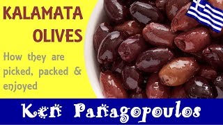 Kalamata Olives | How Kalamata Olives Are Prepared & Enjoyed