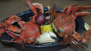 Best Restaurants of the Space Coast: Jake's Crab Shack in Melbourne Beach