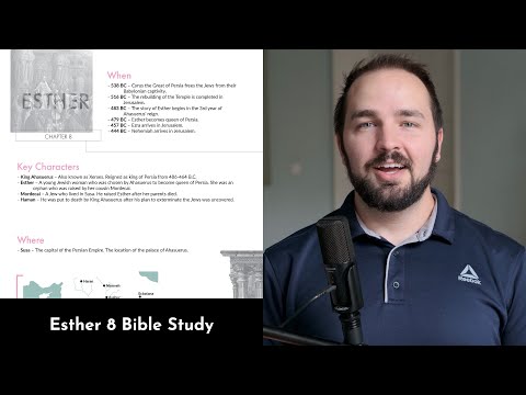 Esther 8 Zusammenfassung: 5-minütiges Bibelstudium