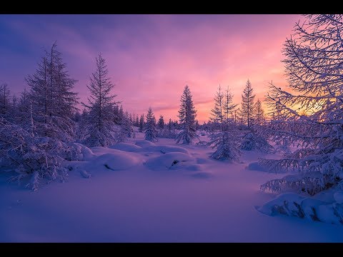 FS17 episode 12, Arctic Logging