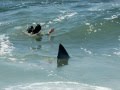 Shark Attack in Florida Beach!! (REAL FOOATAGE) it ...