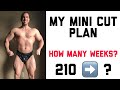 My Mini Cut Plan
