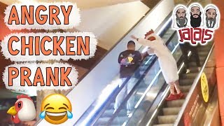 JALALS\' ANGRY CHICKEN PRANK!