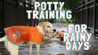 Bad Weather Potty Training for Dogs☔🐕💦
