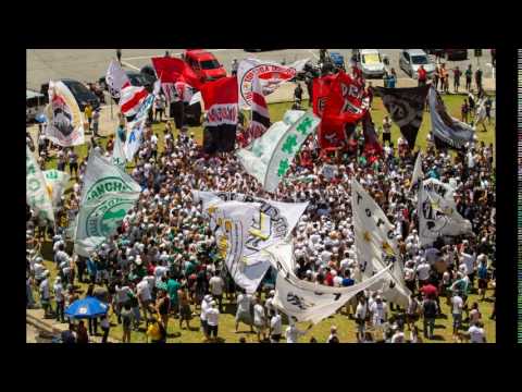 Torcidas organizadas de SP se unem em ato em homenagem à Chapecoense