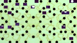 Brian Eno - Juju space jazz - Nerve net