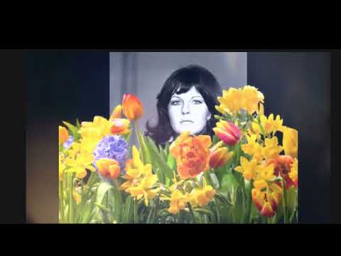 Dana Lerska i Tajfuny - Mój ulubiony kwiat  (1965)