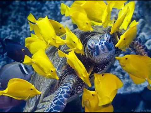 Provas - Pollyanna Sampaio