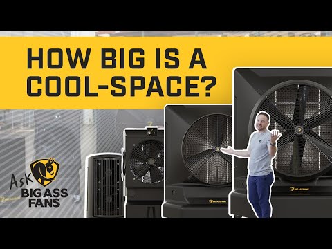 How big are the Cool-Space models?