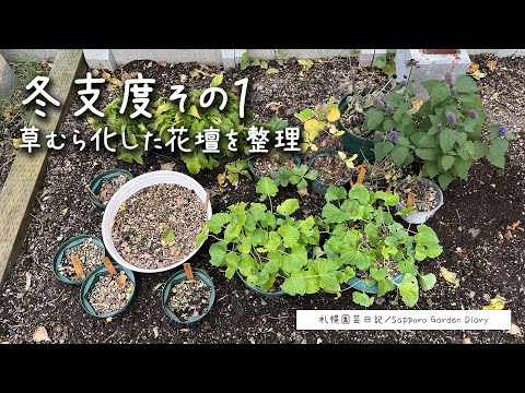 木灰が好きな野菜はどれですか?知っておくべきことはすべて！  庭園