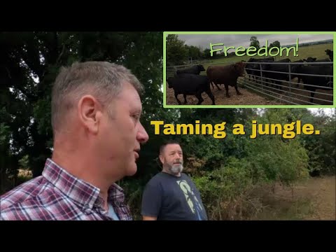 25/08/22  Patrick goes out, and recovering some jungle for my brother!