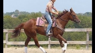 Twisted Lime - Caroline    ***For info, price, etc., go to our website*** Valley View Ranch