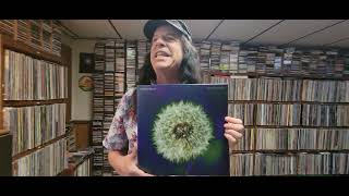 The Bevis Frond  Focus on Nature 2024 - Album Appreciation - Jeremy Morris